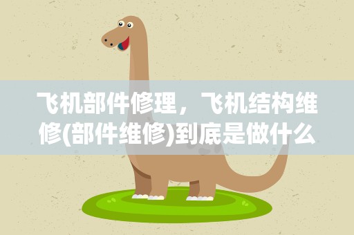 飞机部件修理，飞机结构维修(部件维修)到底是做什么的