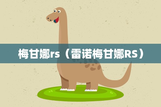 梅甘娜rs（雷诺梅甘娜RS）