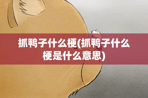 抓鸭子什么梗(抓鸭子什么梗是什么意思)