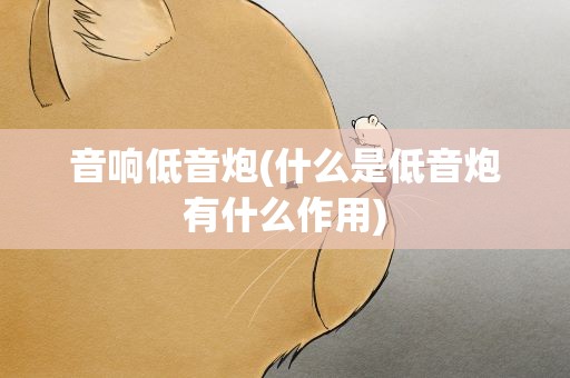 音响低音炮(什么是低音炮有什么作用)