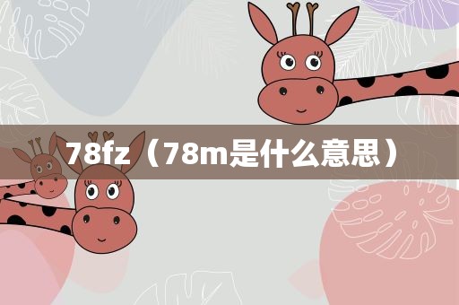 78fz（78m是什么意思）