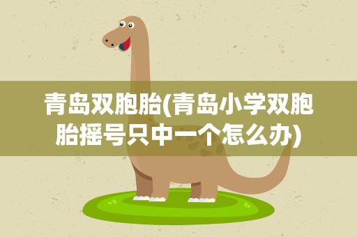 青岛双胞胎(青岛小学双胞胎摇号只中一个怎么办)