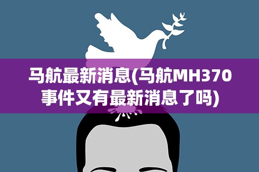 马航最新消息(马航MH370事件又有最新消息了吗)