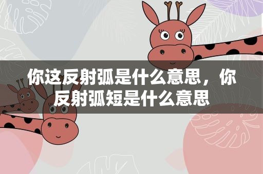 你这反射弧是什么意思，你反射弧短是什么意思