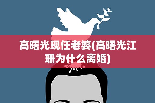 高曙光现任老婆(高曙光江珊为什么离婚)