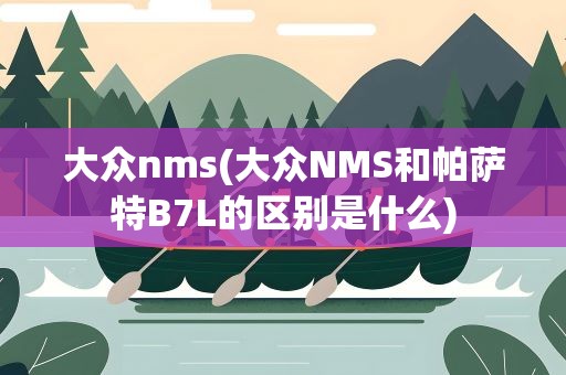 大众nms(大众NMS和帕萨特B7L的区别是什么)