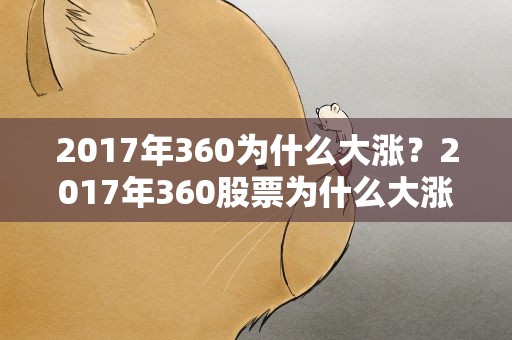 2017年360为什么大涨？2017年360股票为什么大涨