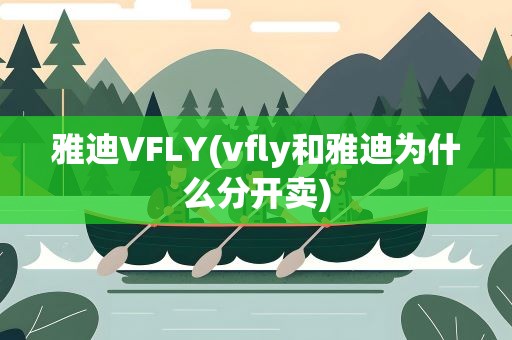 雅迪VFLY(vfly和雅迪为什么分开卖)