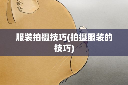 服装拍摄技巧(拍摄服装的技巧)