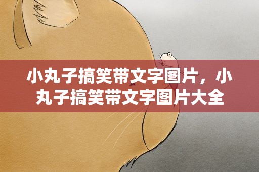 小丸子搞笑带文字图片，小丸子搞笑带文字图片大全