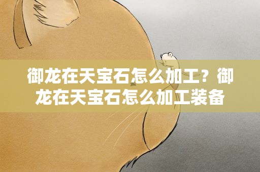 御龙在天宝石怎么加工？御龙在天宝石怎么加工装备