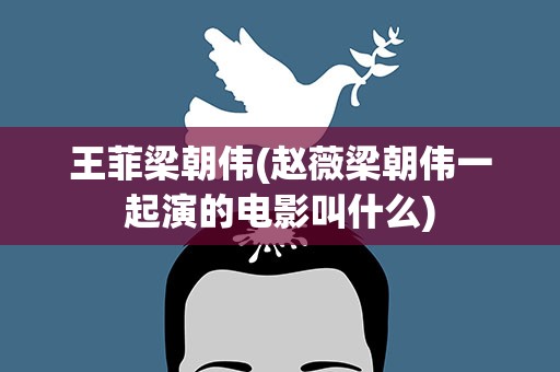 王菲梁朝伟(赵薇梁朝伟一起演的电影叫什么)