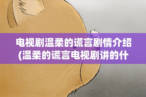 电视剧温柔的谎言剧情介绍(温柔的谎言电视剧讲的什么)