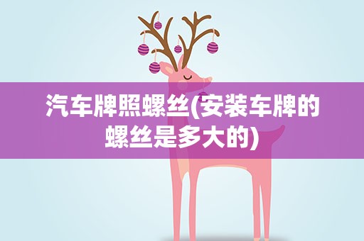 汽车牌照螺丝(安装车牌的螺丝是多大的)