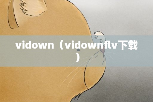 vidown（vidownflv下载）