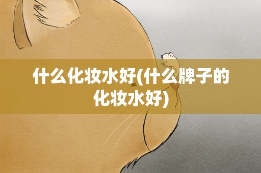 什么化妆水好(什么牌子的化妆水好)