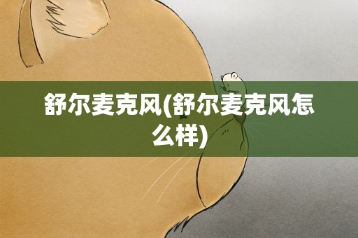 舒尔麦克风(舒尔麦克风怎么样)