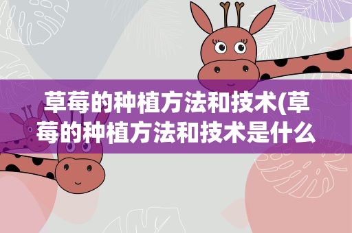 草莓的种植方法和技术(草莓的种植方法和技术是什么)