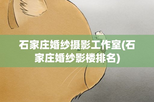 石家庄婚纱摄影工作室(石家庄婚纱影楼排名)
