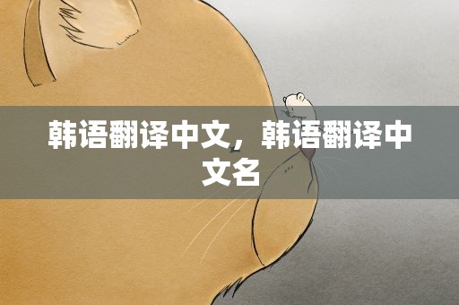 韩语翻译中文，韩语翻译中文名
