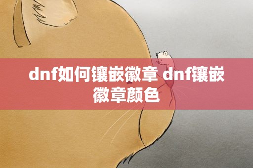 dnf如何镶嵌徽章 dnf镶嵌徽章颜色