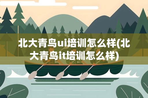 北大青鸟ui培训怎么样(北大青鸟it培训怎么样)