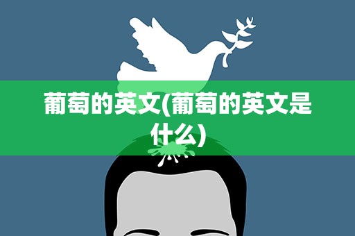 葡萄的英文(葡萄的英文是什么)