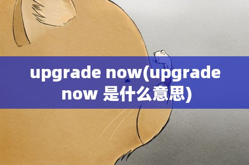 upgrade now(upgrade now 是什么意思)