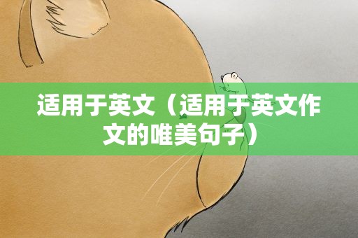 适用于英文（适用于英文作文的唯美句子）