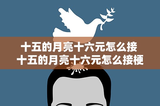 十五的月亮十六元怎么接 十五的月亮十六元怎么接梗