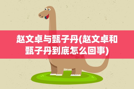 赵文卓与甄子丹(赵文卓和甄子丹到底怎么回事)