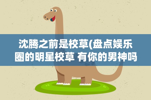 沈腾之前是校草(盘点娱乐圈的明星校草 有你的男神吗)