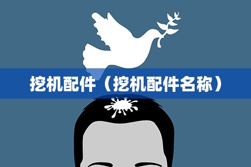 挖机配件（挖机配件名称）