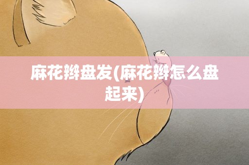 麻花辫盘发(麻花辫怎么盘起来)