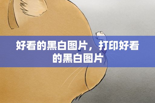 好看的黑白图片，打印好看的黑白图片