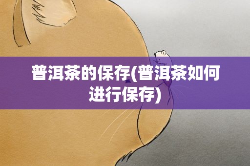 普洱茶的保存(普洱茶如何进行保存)