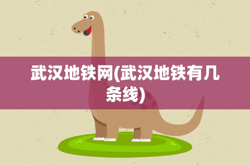 武汉地铁网(武汉地铁有几条线)