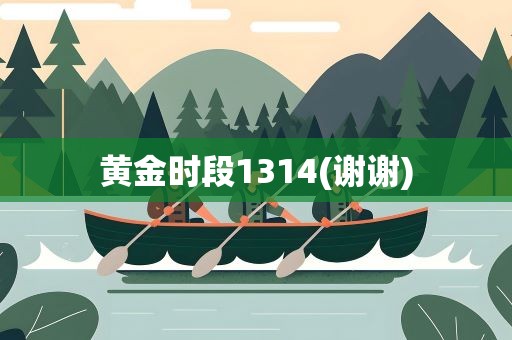 黄金时段1314(谢谢)