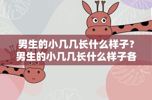男生的小几几长什么样子？男生的小几几长什么样子各国数据