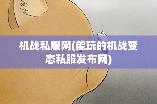 机战私服网(能玩的机战变态私服发布网)