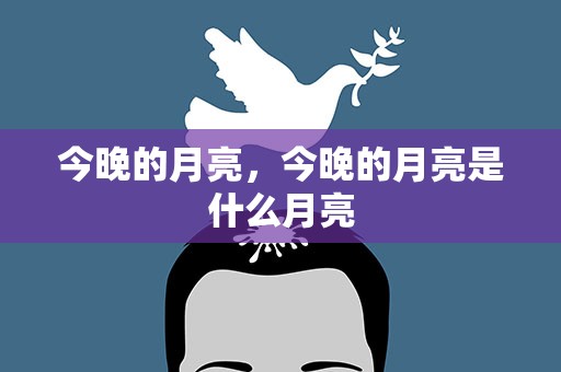 今晚的月亮，今晚的月亮是什么月亮