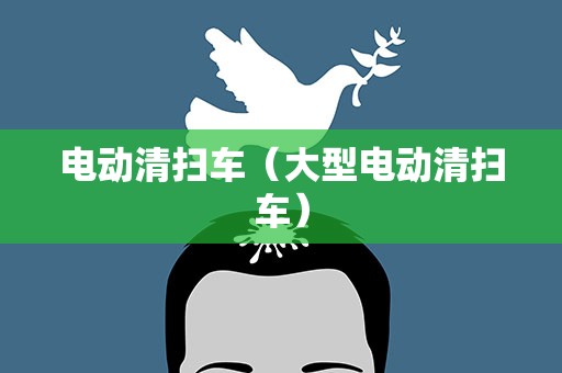 电动清扫车（大型电动清扫车）