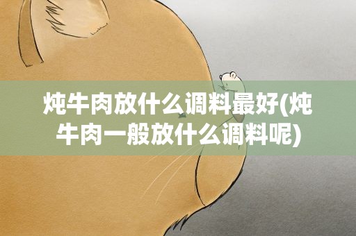 炖牛肉放什么调料最好(炖牛肉一般放什么调料呢)