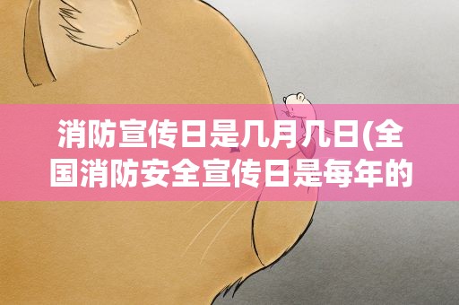 消防宣传日是几月几日(全国消防安全宣传日是每年的几月几日)