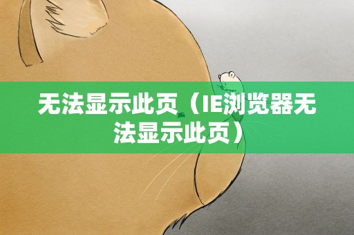无法显示此页（IE浏览器无法显示此页）