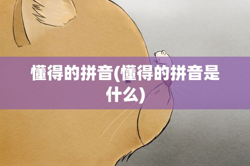 懂得的拼音(懂得的拼音是什么)