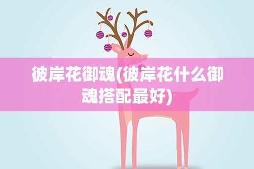 彼岸花御魂(彼岸花什么御魂搭配最好)