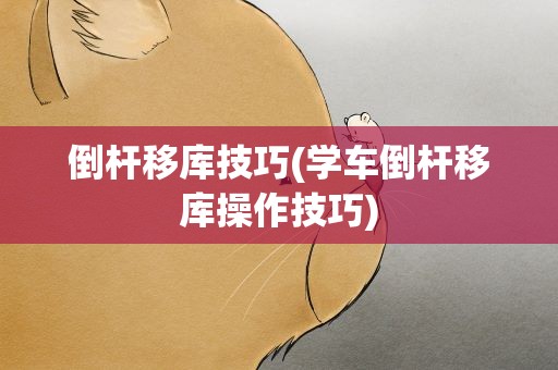 倒杆移库技巧(学车倒杆移库操作技巧)
