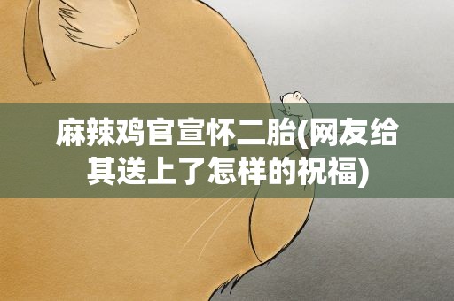 麻辣鸡官宣怀二胎(网友给其送上了怎样的祝福)