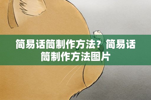 简易话筒制作方法？简易话筒制作方法图片
